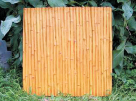 Bamboo Panel